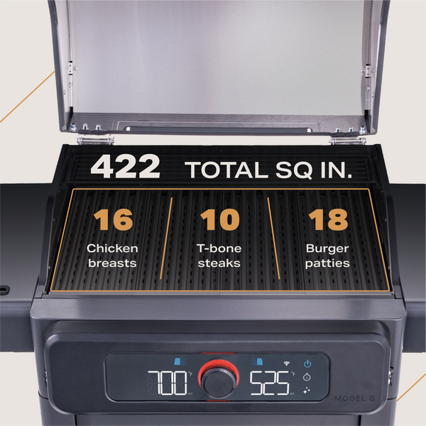Model G Dual Zone Electric Grill