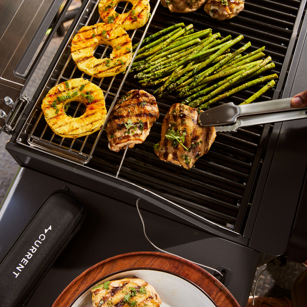 Model G+ Dual Zone Electric Grill